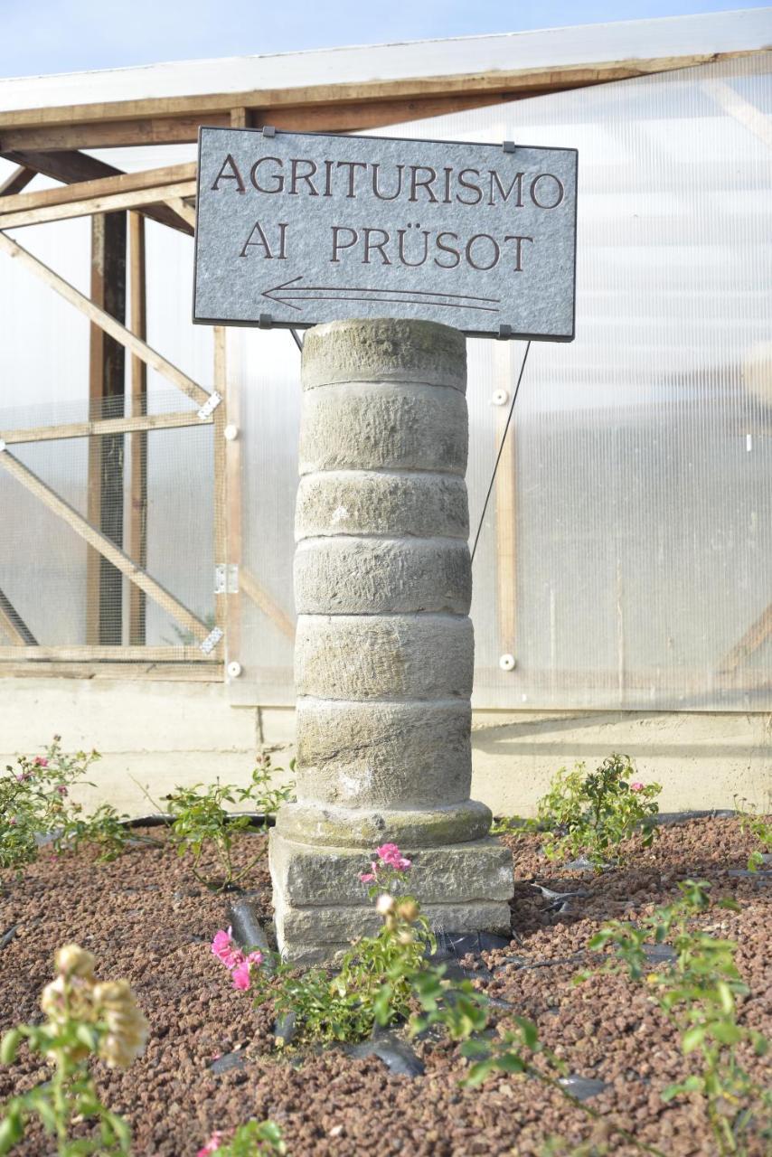 Ai Pruesot *